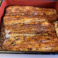 鰻割烹 伊豆栄 本店 -  鰻割烹 伊豆栄 本店 -