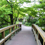茶房 天井棧敷 - 木橋から入口方面を望む