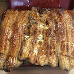 Unagi Irokawa - 