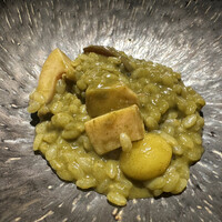 TOSAGE - 