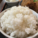 猫丸食堂 - ★ごはん　最近ずっと硬めで嬉しいです❤️