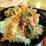 そば処 氷雪庵 - 小天丼