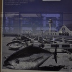 近畿大学水産研究所 - 近大マグロ