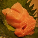 近畿大学水産研究所 - 大トロ