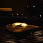 近畿大学水産研究所 - 近大マグロ