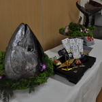 近畿大学水産研究所 - 近大マグロ