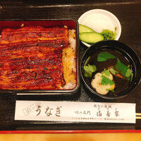 満寿家 - うな重　上