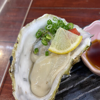 海鮮居酒屋 魚一_1