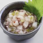 Hokkaido octopus wasabi