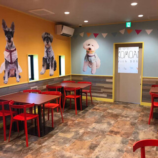 This is a room where you can eat with your pet.