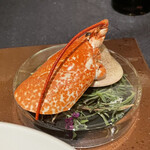 ガストロノミー ジョエル・ロブション - 