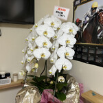 立ち呑み とーど - 