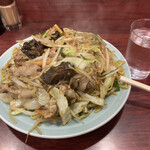 園春 - 肉入り焼きそば大盛り