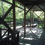 ひらゆの森 - 館内ばかりを歩くのではなく、木漏れ日の中を歩くのもいいもんです。