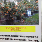 すかなごっそ - 店内