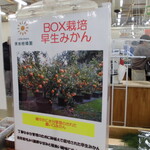 すかなごっそ - 店内