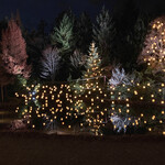 ガーデンレストラン シェフズ テラス - 前日夜のクリスマスイルミネーション。