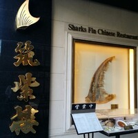 筑紫樓 銀座店 - 