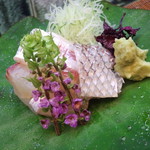 やげんぼり  - 2013/6　造り