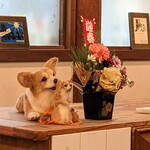 ドックカフェ 風音 - 