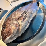 PESCA WAIKIKI BEACH - 