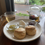 お茶とおやつ 和茶 - 