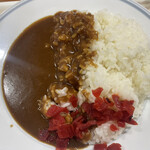 越後川口サービスエリア（下り線）レストラン - カレーライス　740円 ご飯増量　50円