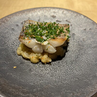 TTOAHISU - 