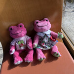 Village SEDO - カエルたちも日光浴。