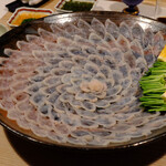 Shimada Sushi - 