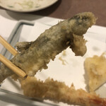 Tempura Shinjuku Tsunahachi - 