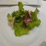 ガーデンレストラン アマルフィイ - 