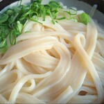 山越うどん - かまあげかけ(3玉)