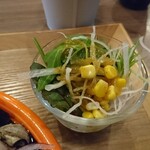 カレー食堂 サンサーラ - サラダ