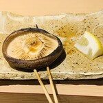 おみ乃 - ・どんこ