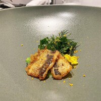 クイントカント - 