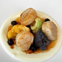 Benoit Alain Ducasse - 