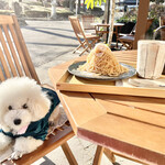 TERA CAFE SHIEN ZOJOJI - 