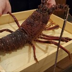 4000 Chinese Restaurant - 