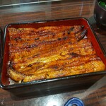 うなぎ 魚政 - うな重、ブランド鰻(坂東太郎) 特上