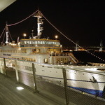 ロイヤルウイング - 