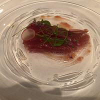 サーラ アマービレ - 