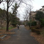 郷林 - スクールロードは冬景色です。