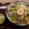 Iso Oroshi Togakushi Soba - 【磯おろし戸隠そば】