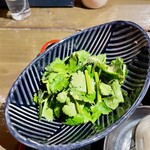 旧ヤム邸 - 追加パクチー