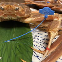 かに道楽 新宿本店 - 