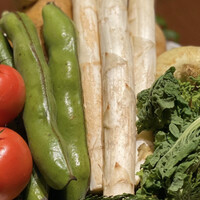 スガラボヴィー - 