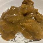 肉と米 ハジメ - カレー様接写！