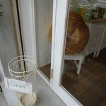 33ベーグル - 33BAGEL（33ベーグル） 六甲（灘区）