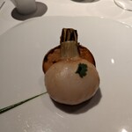 レフェルヴェソンス - 